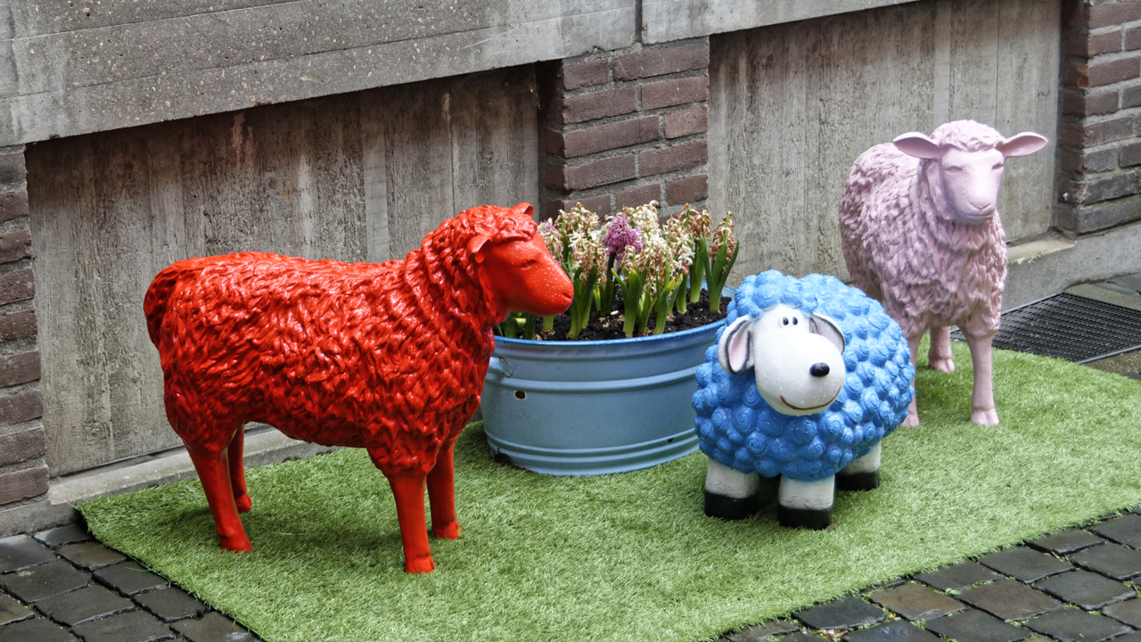 20170502  3672  Aachen, North RhineWestphalia, Germany